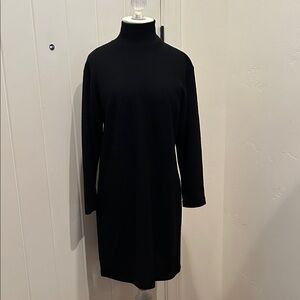 Eileen Fisher Wool Elegant Black Turtleneck Dress